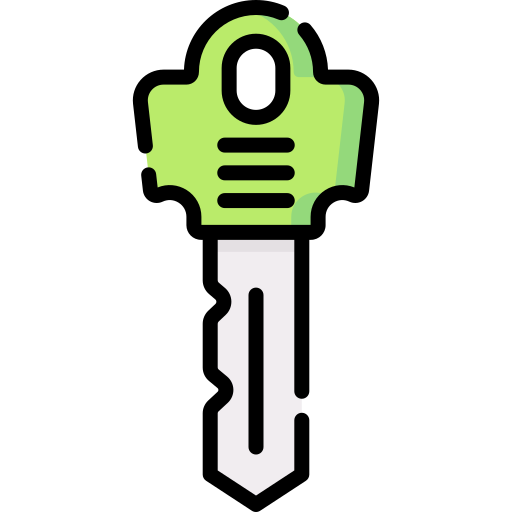 Key Special Lineal color icon