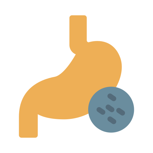 Stomach Vector Stall Flat icon