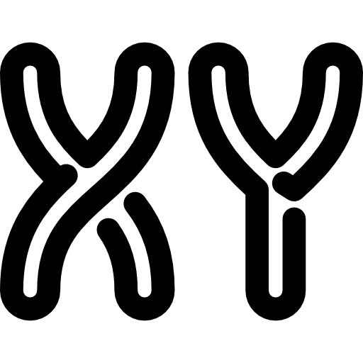 chromosom Voysla Lineal ikona