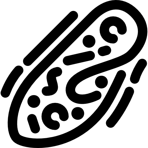박테리아 Voysla Lineal icon
