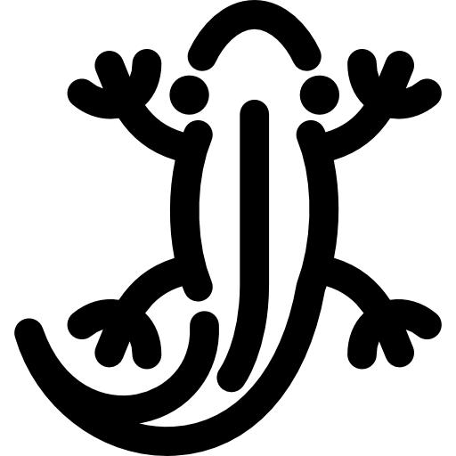 도마뱀 Voysla Lineal icon