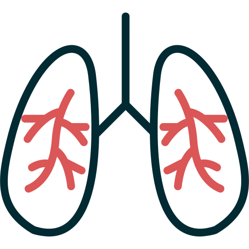 pulmones Generic Mixed icono