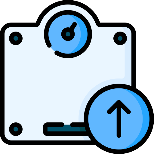 Weight scale Special Lineal color icon