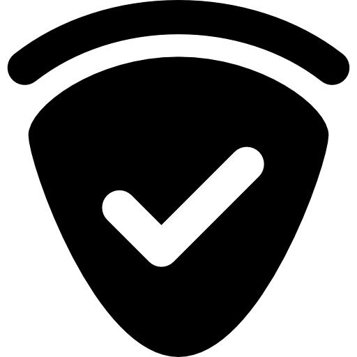 Checked Security  icon