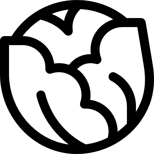 repolho Basic Rounded Lineal Ícone