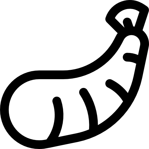 garnele Basic Rounded Lineal icon