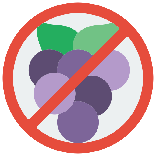 Berries Basic Miscellany Flat icon