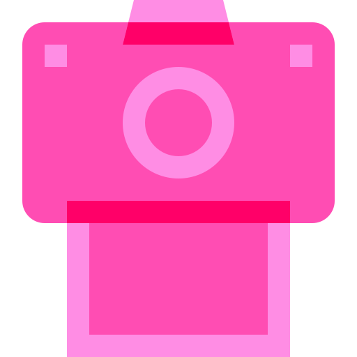cámara fotográfica Basic Sheer Flat icono