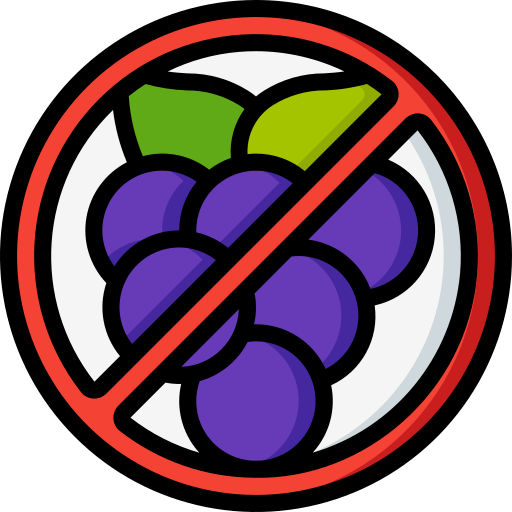 beeren Basic Miscellany Lineal Color icon