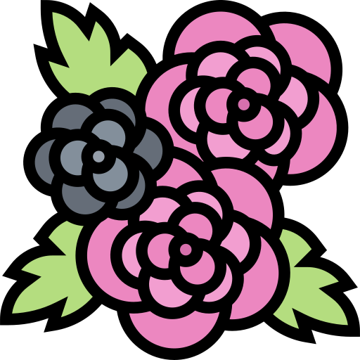 rosa Meticulous Lineal Color icona