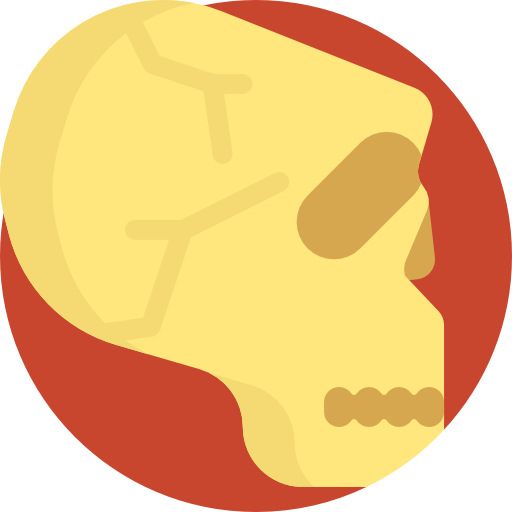 cranio Detailed Flat Circular Flat icona
