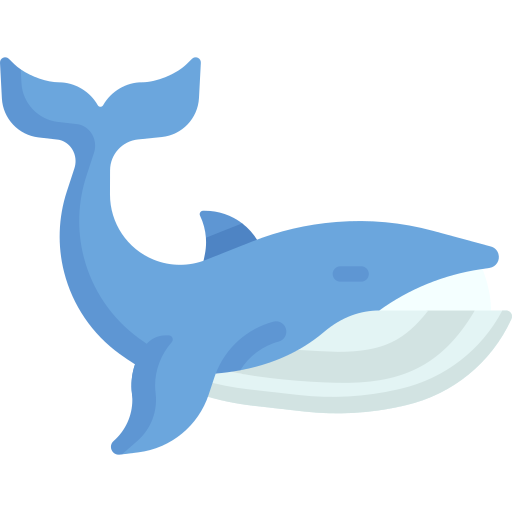 고래 Special Flat icon