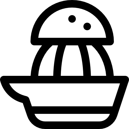 spremiagrumi Basic Rounded Lineal icona