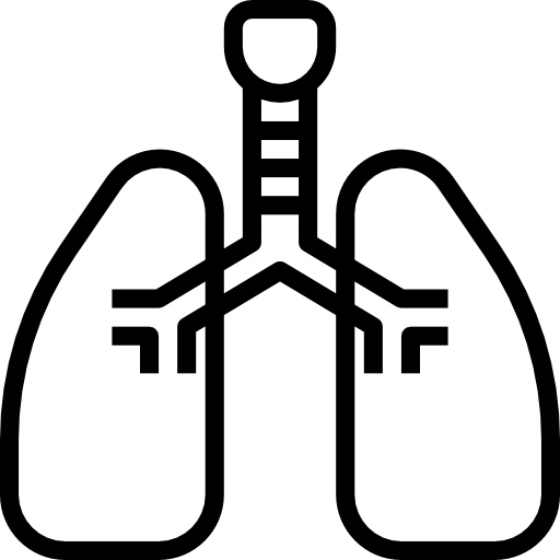 Легкое dDara Lineal иконка