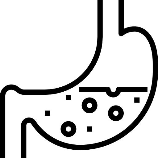 Желудок dDara Lineal иконка