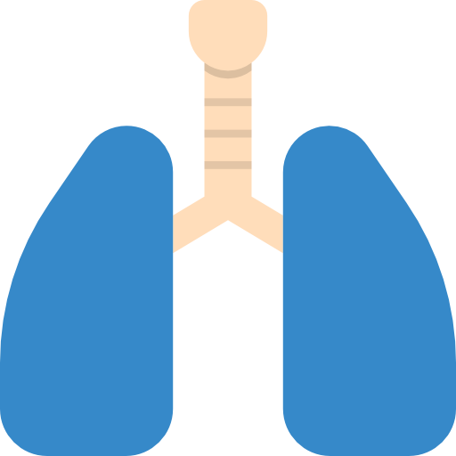 肺 dDara Flat icon