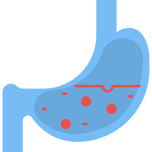 Żołądek dDara Flat ikona