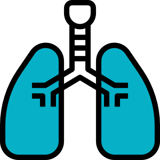 pulmón dDara Lineal Color icono