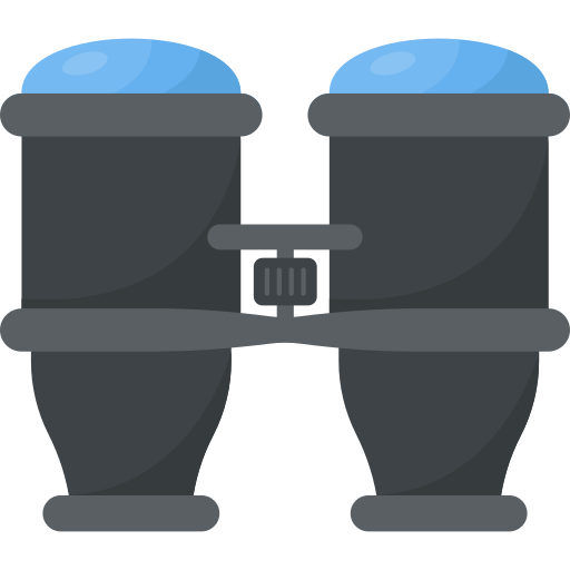 Binoculars Flat Color Flat icon