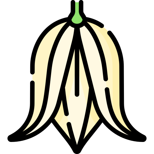 Yucca Special Lineal color icon