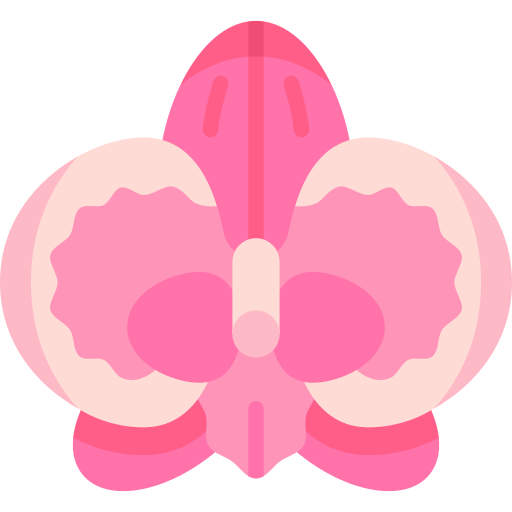 Orchid Special Flat icon
