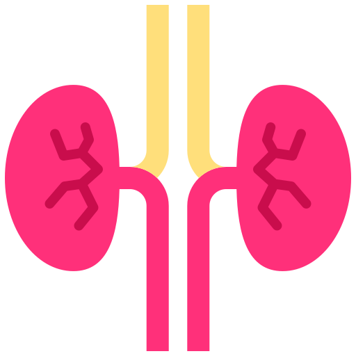 Kidneys Good Ware Flat icon