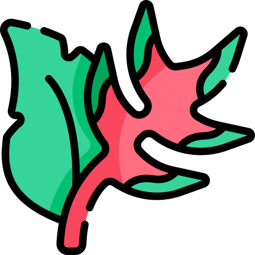 heliconia Kawaii Lineal color icono