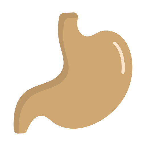 stomaco Generic Flat icona