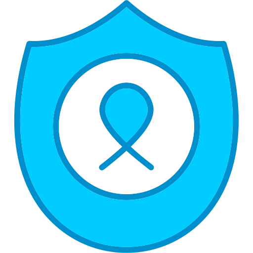 Shield Generic Blue icon