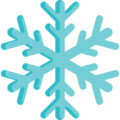 Snowflake Special Flat icon