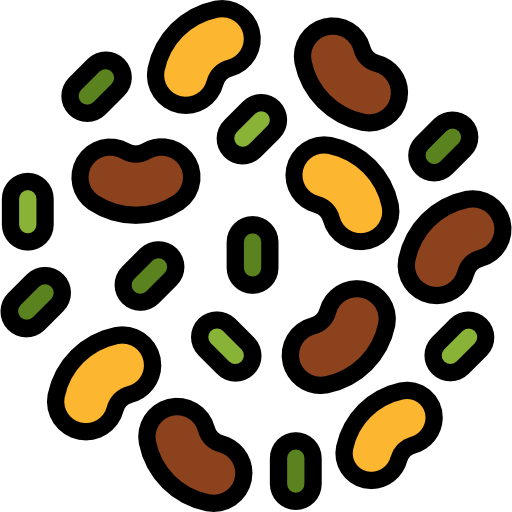 콩 Aphiradee (monkik) Lineal Color icon