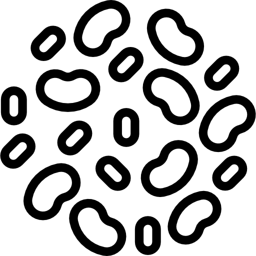 frijoles Aphiradee (monkik) Lineal icono