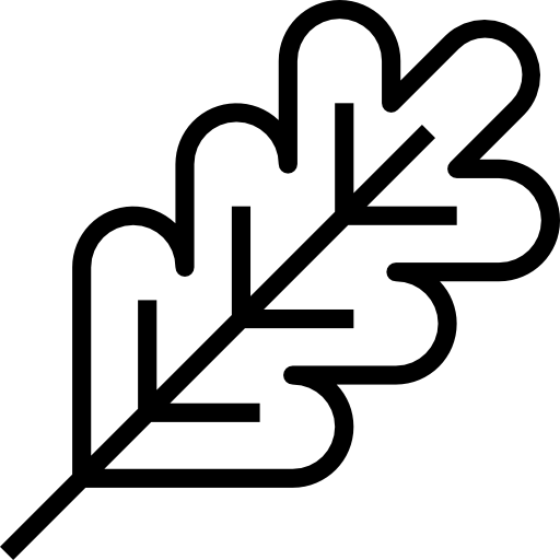 분기 Aphiradee (monkik) Lineal icon