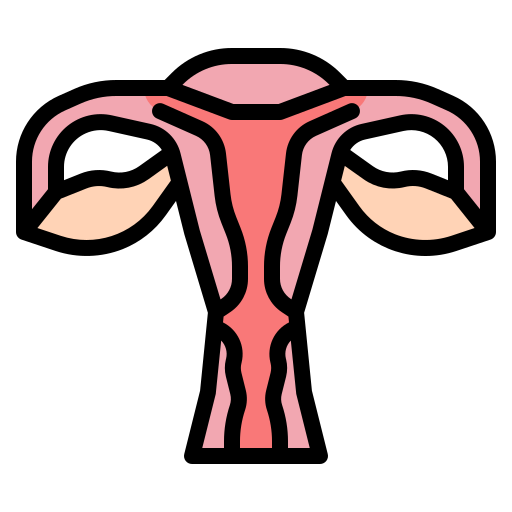 Vagina Generic Outline Color icon