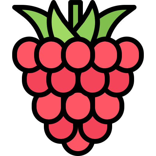Raspberry Coloring Color icon