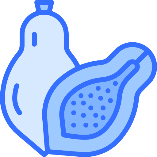 papaja Coloring Blue icoon