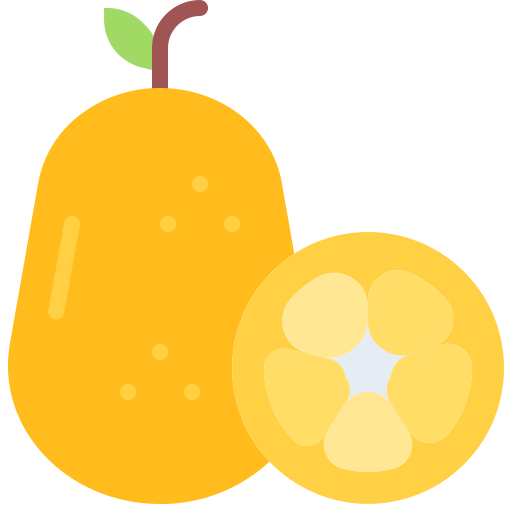 Kumquat Coloring Flat icon