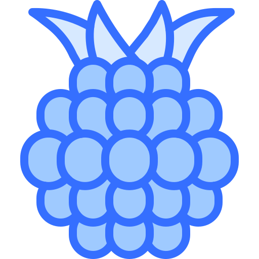 ブラックベリー Coloring Blue icon