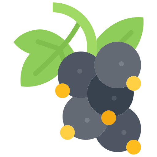 Currant Coloring Flat icon
