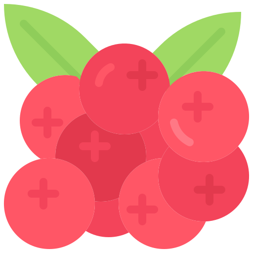 Cranberry Coloring Flat icon