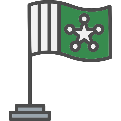 Flag Generic Outline Color icon