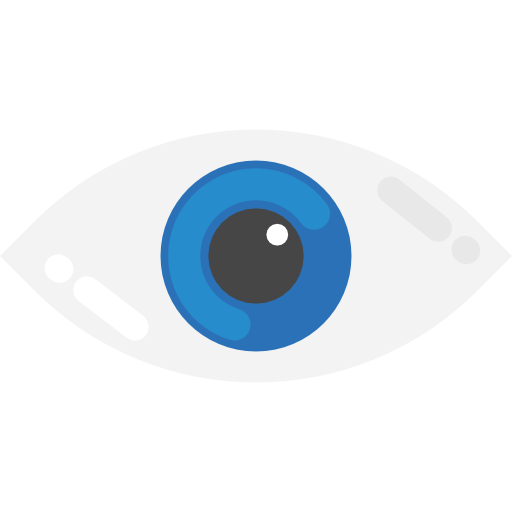 Eye Flat Color Flat icon