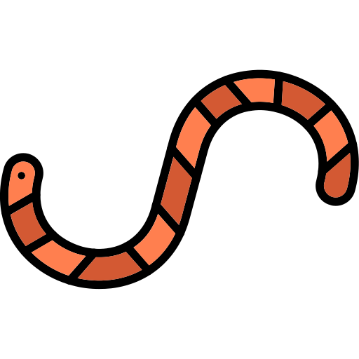 gusano Generic Outline Color icono