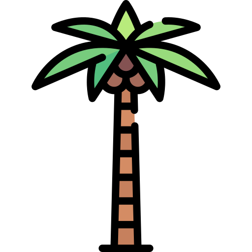 Árbol de coco Special Lineal color icono