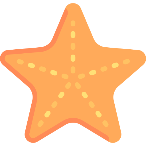 Starfish Special Flat icon