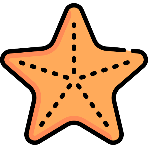 морская звезда Special Lineal color иконка