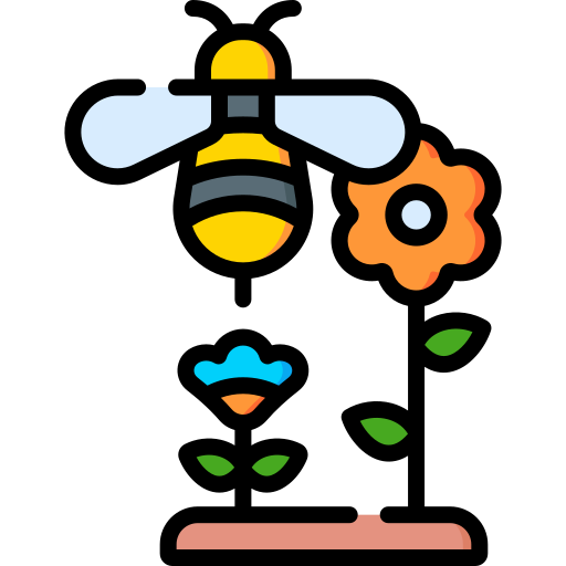 Bee Special Lineal color icon