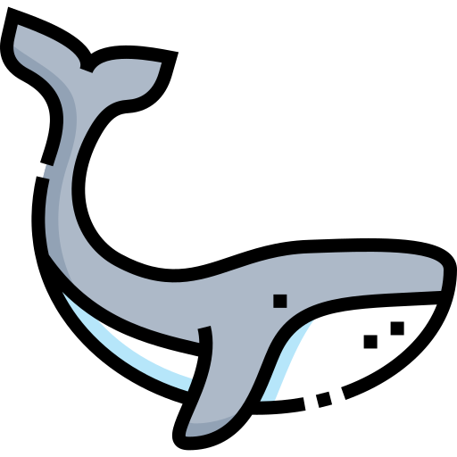 Whale Detailed Straight Lineal color icon