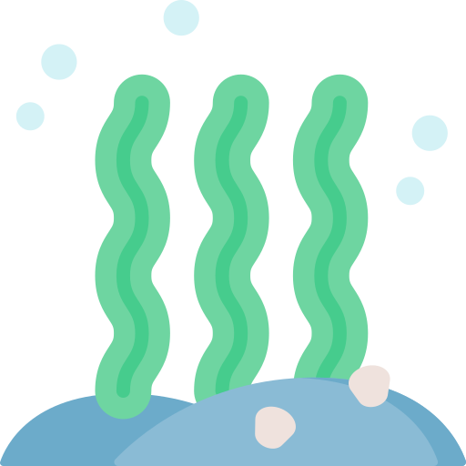 海藻 Special Flat icon