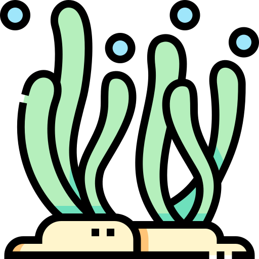 海藻 Detailed Straight Lineal color icon
